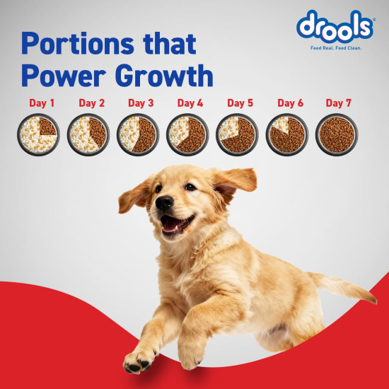 Drools Puppy Dry Dog Food 1.2Kg Pack | Chicken and Egg Flavour | Optimal Growth | Healthy Coat & Skin | Strong Immune System | Enhanced Palatability