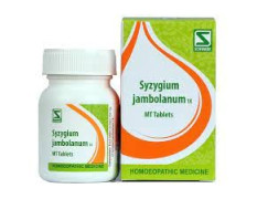 Dr. Willmar Schwabe India Syzygium Jambolanum 1X 20 Gm (Pack of 2)