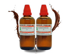 Dr Willmar Schwabe India Gymnema sylvestre Q 200ML (100mlx2) || Mother Tincture || Schwabe Homeopathy Medicine