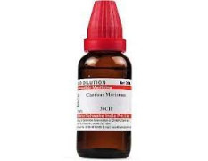 Dr. Willmar Schwabe India Carduus Marianus 30 CH | 30ML (Pack of 2)