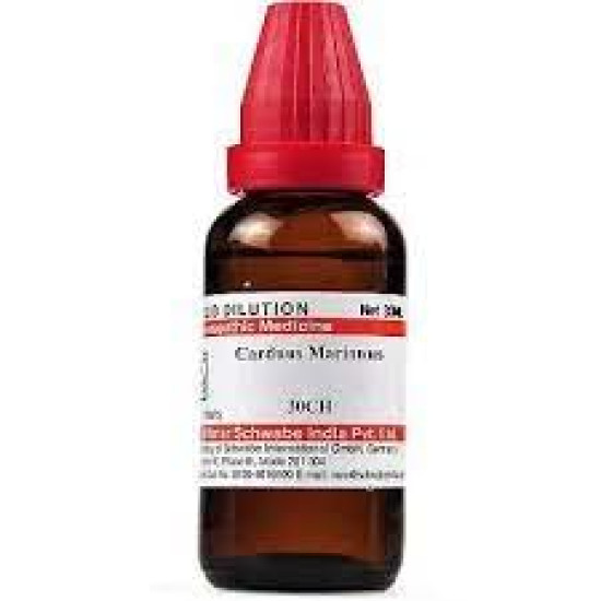 Dr. Willmar Schwabe India Carduus Marianus 30 CH | 30ML (Pack of 2)