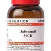 Dr. Willmar Schwabe India Jaborandi 30 CH | 30 ML (Pcak of 4)