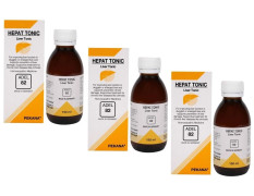 ADEL - 82 Liver Tonic(Pack of 3)