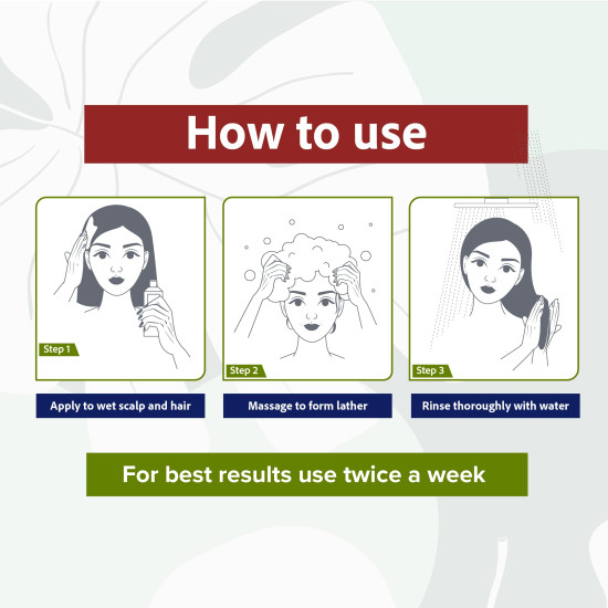 Sri Sri Tattva Henna Shikakai Shampoo, 200ml (Pack of 2) – Enhances Thickness & Density, Nourishes for Healthy, Voluminous, Shiny Results – For Normal to Oily Scalp – For Men & Women