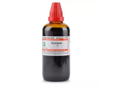 Syzygium Jambolanum (Q) (100ml) || Dr Willmar Schwabe India || Shophomeo®