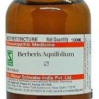 Dr Willmar Schwabe India Berberis Aquifolium Q - 100ML - (Pack of 1) Mother Tincture