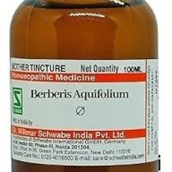 Dr Willmar Schwabe India Berberis Aquifolium Q - 100ML - (Pack of 1) Mother Tincture
