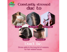 Zandu Ayurvedic Onion Oil (200ml): Power of Onions for Strong & Smooth hair | 9 Herbs & 10 Natural Oils | Helps reduce Hair Thinning & Hair Breakage | Improves Hair Quality | Controls Dandruff