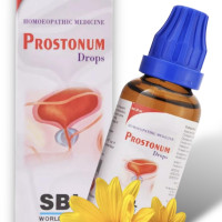 SBL Prostonum Drops Homeopathy (30ml)