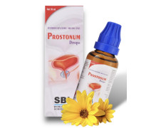 SBL Prostonum Drops Homeopathy (30ml)