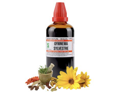 Dr.Willmar Schwabe Gymnema Sylvestre Mother Tincture Q 100ml - Orignal_Extract Homeopathy