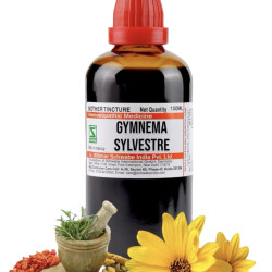 Dr.Willmar Schwabe Gymnema Sylvestre Mother Tincture Q 100ml - Orignal_Extract Homeopathy