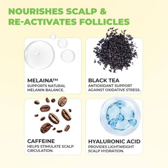 Avimee Herbal Scalptone Grey Hair Serum with Hyaluronic Acid & Caffeine | Toxin Free | Light-weight, Non-sticky & Odourless formula | For All hair types | 25 ml