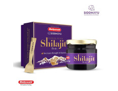 Baidyanath Asli Ayurved Himalayan Shilajit/Shilajeet Resin 20Gm - 100% Ayurvedic | Performance Booster For Endurance And Stamina