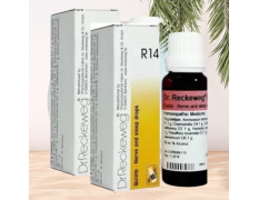 Dr Reckeweg R14 Homeopathic Medicine Quieta - Homeopathic Medicine 22ml, Pack of 2