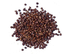 Yuvika Tomar Seeds - Nepali Dhania - Tomar Beej - Beej Tomru 100 Grams