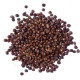 Yuvika Tomar Seeds - Nepali Dhania - Tomar Beej - Beej Tomru 100 Grams