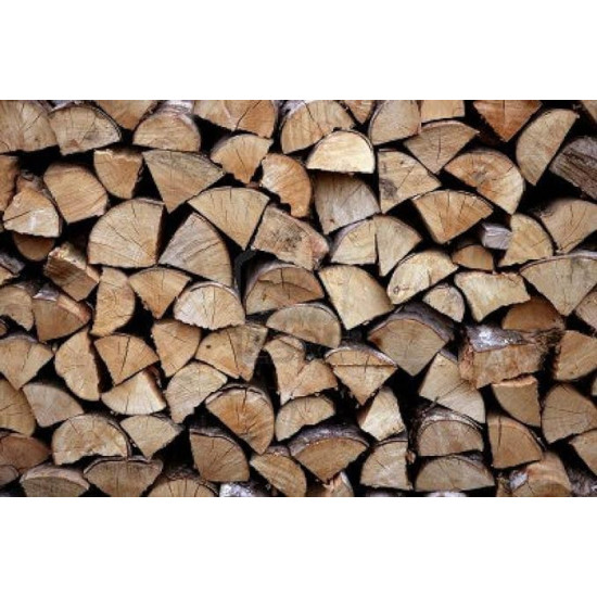 Premium BAMBOOL Multi Purpose Fire Wood Logs (for Grilling,Cooking, Fire Pit, Pizza ovens, Fire Place, Lohri) - Long Firewood (3 KGS)