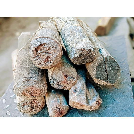 Premium BAMBOOL Multi Purpose Fire Wood Logs (for Grilling,Cooking, Fire Pit, Pizza ovens, Fire Place, Lohri) - Long Firewood (3 KGS)