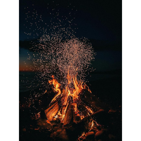 Premium BAMBOOL Multi Purpose Fire Wood Logs (for Grilling,Cooking, Fire Pit, Pizza ovens, Fire Place, Lohri) - Long Firewood (3 KGS)