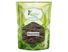 Yuvika Bhumi Amla - Bhoomi Awla - Phyllanthus Niruri - Fillanto Niruhi 200 Grams