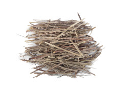 Yuvika Bhumi Amla - Bhoomi Awla - Phyllanthus Niruri - Fillanto Niruhi 200 Grams