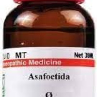 Dr Willmar Schwabe India Asafoetida Mother Tincture Q 30ML | PACK OF 1|