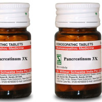 Dr.Willmar Schwabe India Pancreatinum 3X Tablets General Wellness Pack Of 3 |G924|