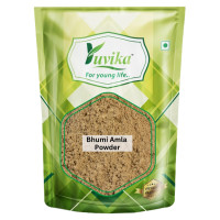 Yuvika Bhumi Amla Powder - Bhoomi Awla Powder- Phyllanthus Niruri - Fillanto Niruhi 800 Grams