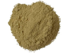 Yuvika Bhumi Amla Powder - Bhoomi Awla Powder- Phyllanthus Niruri - Fillanto Niruhi 800 Grams