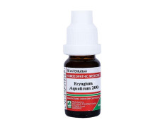 ADEL Eryngium Aquaticum Dilution 200-10ML