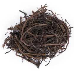 Yuvika Bad ki Dari - Ficus Benghalensis - Bargad ki Dadi - Banyan Tree 100 Grams