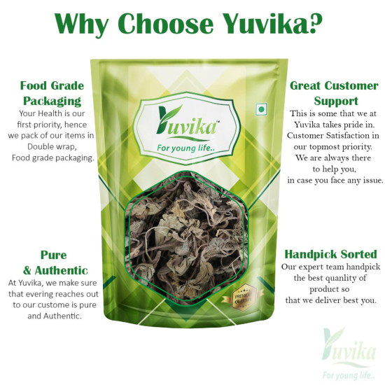 Yuvika Banafasha Sadi - Banafsha Patti - Banafsha Leaves 100 Grams