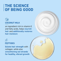 Plum Coconut Milk & Peptides Shampoo for Dry & Frizzy Hair | Provides 22X Shiny & Softer | Paraben-Free | Hair Shampoo for Women & Men | for Straight, Wavy & Rough Hair | pH Balanced | 500ml