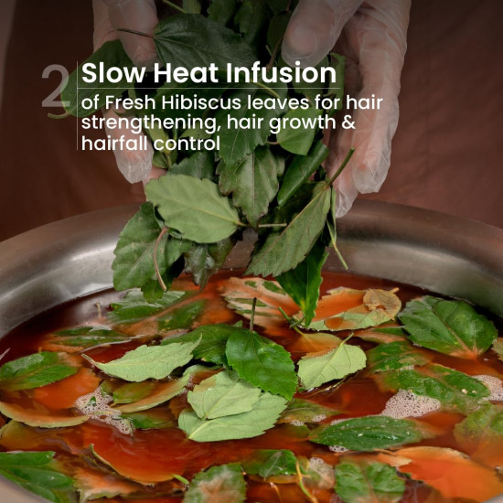 Nat Habit Castor Blackseed Navdha Shampoo for Men| Men's Hair Revital| Natural Hair Shampoo | Anti Hair Fall, Hair Growth & Anti-Dandruff | Sulphate-Free Amla Reetha Shikakai Cleanser| 250ml