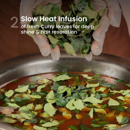 Nat Habit Curry Cider Navdha Shampoo for Breakage Control & Shiny Hair| Apple Cider Vinegar & Fermented Soy| Amla Reetha Shikakai Herbal Shampoo for Women & Men|Natural ACV for Deep Conditioning|250ml