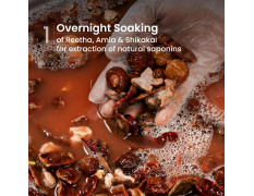 Nat Habit Hibiscus Navdha Shampoo for Hair Growth, Fermented Soy Gentle Cleanser for Long Thick Hair | Natural Shampoo with Amla For Women & Men, Sulfate Free| 250ml