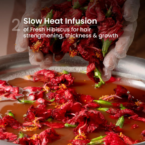 Nat Habit Hibiscus Navdha Shampoo for Hair Growth, Fermented Soy Gentle Cleanser for Long Thick Hair | Natural Shampoo for Oily Scalp & Dry Frizzy Hair with Amla For Women & Men, Sulfate Free| 2 X 250ml