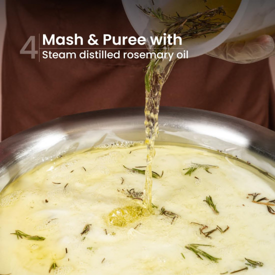 Nat Habit Navdha Rosemary Shampoo For Hair Fall Control| Sulphate & Paraben Free | Soy Fermented Gentle Cleanser|Natural Herbal Shampoo for Women & Men | Amla Reetha Shikakai | Chemical-Free| 250ml