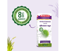 Baidyanath Wheatgrass Juice - 500ml | Natural Superfood Drink | Supports Detoxification & Immune System | Digestive System And Purify Blood