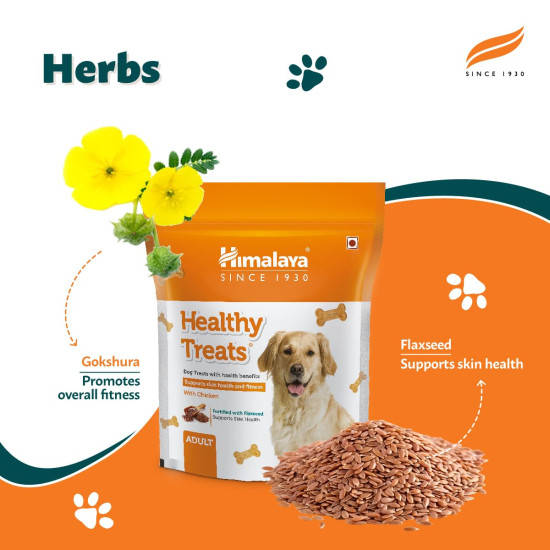 Himalaya Healthy Treats for Adult Dogs | Chicken | 900g | with Gokshura & Flaxseed | Tasty & Nutritious Dog Snack
