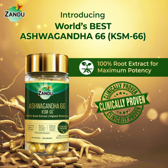 Zandu Ashwagandha KSM-66 (600 mg high dose formula) Tablets | Clinically Proven for 72% Decrease in stress and anxiety levels I Boosts Energy & Strength | 60 tablets I 100% Pure Root Extract