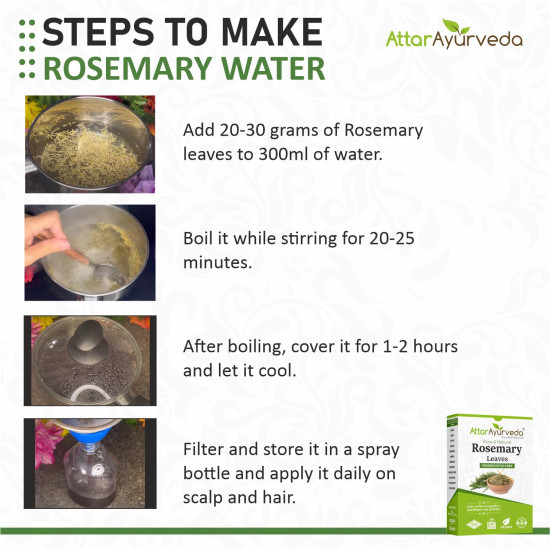 Attar Ayurveda Rosemary leaves for Hair growth 100 grams | 100% Natural, Preservative free | Dried rosemary leaves | Suitable for Rosemary water and Rosemary oil prepration