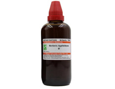 Schwabe Dr. Willmar India Berberis Liquid Aquifolium 