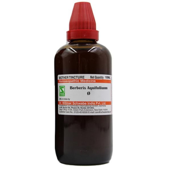 Schwabe Dr. Willmar India Berberis Liquid Aquifolium 
