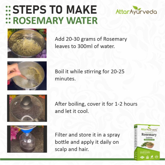 Attar Ayurveda Natural Rosemary leaves for Hair growth 100 grams | 100% Natural, Preservative free | Dried rosemary leaves | Suitable for Rosemary water and Rosemary oil preparation