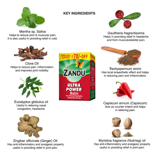 Zandu Ultra Power Balm | For Pain Relief from Strong Headache, Bodyaches & Cold | Bone, Joint & Muscle Care | 50 ML