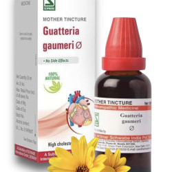 Willmar Schwabe Guatteria Gaumeri Q Mother Tincture - Homeopathy Medicine- 30ml