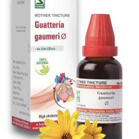 Willmar Schwabe Guatteria Gaumeri Q Mother Tincture - Homeopathy Medicine- 30ml