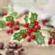 Supvox® Christmas Tree Decoration, 175cm Classic Christmas Tree Holly Decorative Strip, Holly Ornament for Christmas Home Decor, Christmas Decorations Items for Home, Xmas Wreath, Wall, Window, Door Supvox® Christmas Tree Decoration, 175cm Classic Christmas Tree Holly Decorative Strip, Holly Ornament for Christmas Home Decor, Christmas Decorations Items for Home, Xmas Wreath, Wall, Window, Door
